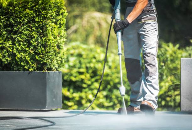 Best Driveway Pressure Washing  in Smithfield, NC