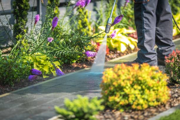 Best Dumpster Area Cleaning  in Smithfield, NC